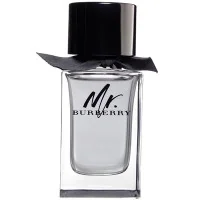 Burberry &quot;Mr. Burberry&quot; 100ml TESTER (Оригинал) Туалетная вода