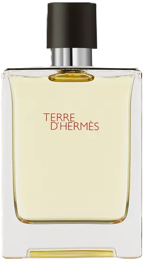 Hermes Terre d'Hermes 100ml (Туалетная вода)