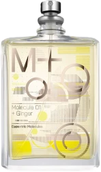 Escentric Molecules Molecule 01 + Ginger 100 ml TESTER (Оригинал) Туалетная вода